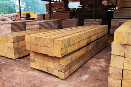 Product (10)