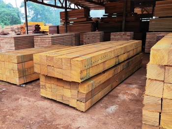 Mechanical properties of wood