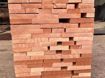 Application of wood in structural engineering
